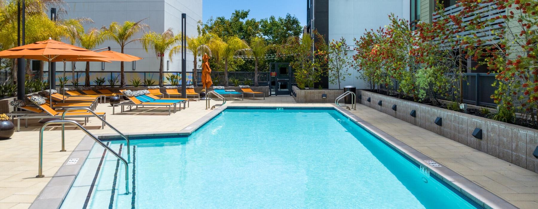 Pool surrounded by lounge chairs and umbrellas at Vaya, one of the best apartment complexes in Walnut Creek